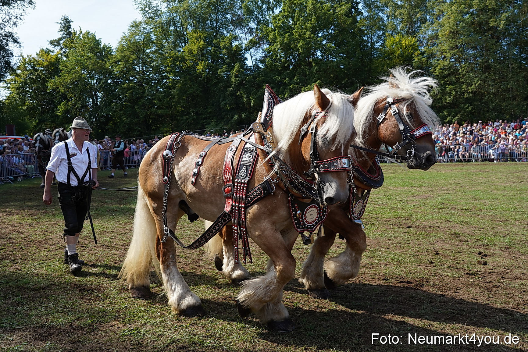Pferde und Fohlenschau 2022 0187 